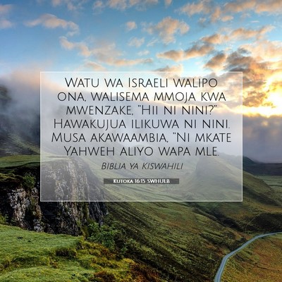 Picture 07 - Kutoka 16:15 SWHULB - Watu wa Israeli walipo ona, walisema mmoja kwa - Bible Verse Picture