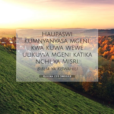 Picture 07 - Kutoka 23:9 SWHULB - Haupaswi kumnyanyasa mgeni, kwa kuwa wewe ulikuwa - Bible Verse Picture