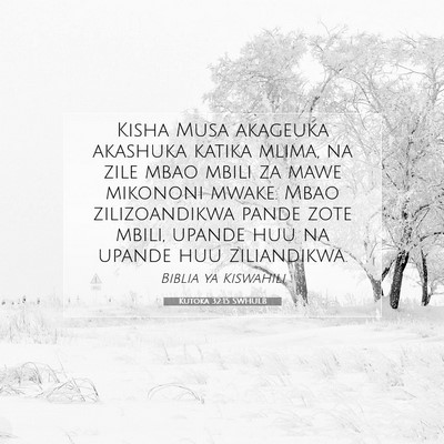 Picture 07 - Kutoka 32:15 SWHULB - Kisha Musa akageuka akashuka katika mlima, na - Bible Verse Picture