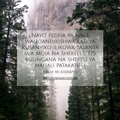 Picture 07 - Kutoka 38:25 SWHULB - Nayo fedha ya wale walioandikishwa kati ya - Bible Verse Picture