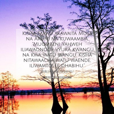 Picture 07 - Kutoka 8:8 SWHULB - Kisha Farao akawaita Musa na Aruni na kuwaambia, - Bible Verse Picture