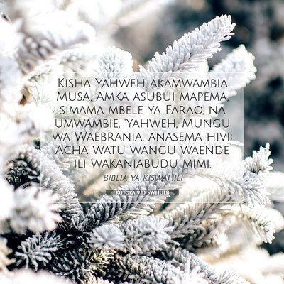 Picture 07 - Kutoka 9:13 SWHULB - Kisha Yahweh akamwambia Musa, Amka asubui mapema, - Bible Verse Picture