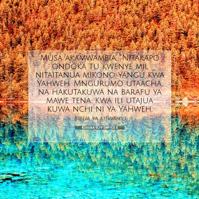 Picture 07 - Kutoka 9:29 SWHULB - Musa akamwambia, “Nitakapo ondoka tu kwenye - Bible Verse Picture
