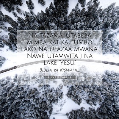 Picture 07 - Luka 1:31 SWHULB - Na tazama, utabeba mimba katika tumbo lako na - Bible Verse Picture