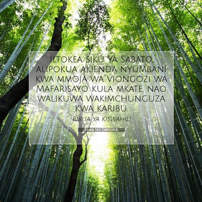 Picture 07 - Luka 14:1 SWHULB - Iltokea siku ya Sabato, alipokua akienda nyumbani - Bible Verse Picture
