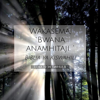 Picture 07 - Luka 19:34 SWHULB - Wakasema, `Bwana anamhitaji. - Bible Verse Picture