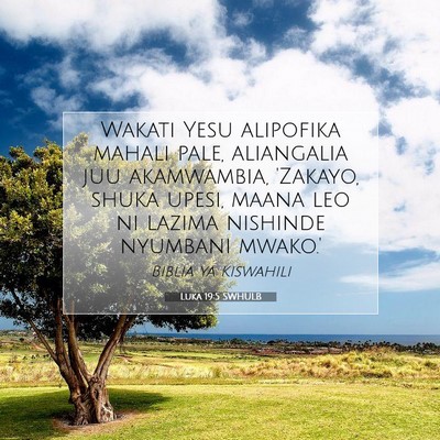 Picture 07 - Luka 19:5 SWHULB - Wakati Yesu alipofika mahali pale, aliangalia juu - Bible Verse Picture