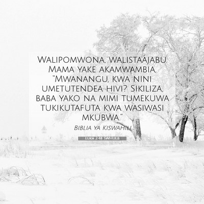 Picture 07 - Luka 2:48 SWHULB - Walipomwona, walistaajabu. Mama yake akamwambia, - Bible Verse Picture