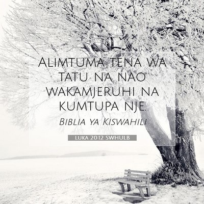 Picture 07 - Luka 20:12 SWHULB - Alimtuma tena wa tatu na nao wakamjeruhi na - Bible Verse Picture