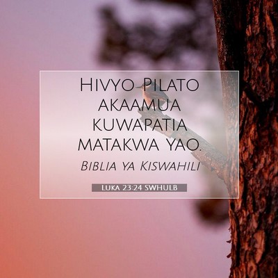 Picture 07 - Luka 23:24 SWHULB - Hivyo Pilato akaamua kuwapatia matakwa - Bible Verse Picture