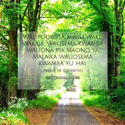 Picture 07 - Luka 24:23 SWHULB - Walipoukosa mwili wake, wakaja, wakisema kwamba - Bible Verse Picture