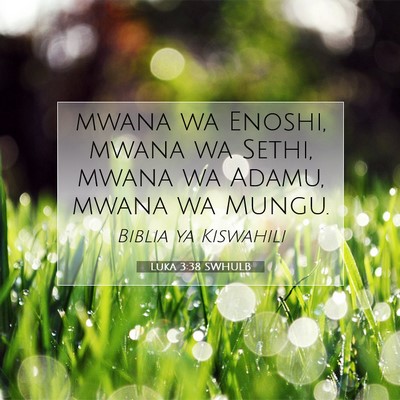 Picture 07 - Luka 3:38 SWHULB - mwana wa Enoshi, mwana wa Sethi, mwana wa Adamu, - Bible Verse Picture