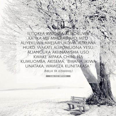Picture 07 - Luka 5:12 SWHULB - Ilitokea kwamba alipokuwa katika mji mmojawapo, - Bible Verse Picture