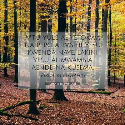 Picture 07 - Luka 8:38 SWHULB - Mtu yule aliyetokwa na pepo alimsihi Yesu kwenda - Bible Verse Picture