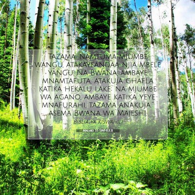 Picture 07 - Malaki 3:1 SWHULB - Tazama, namtuma mjumbe wangu, atakayeandaa njia - Bible Verse Picture