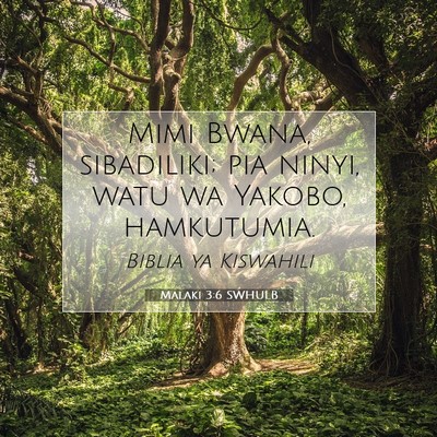 Picture 07 - Malaki 3:6 SWHULB - Mimi Bwana, sibadiliki; pia ninyi, watu wa - Bible Verse Picture
