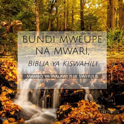 Picture 07 - Mambo ya Walawi 11:18 SWHULB - bundi mweupe na - Bible Verse Picture