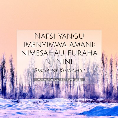 Picture 07 - Maombolezo 3:17 SWHULB - Nafsi yangu imenyimwa amani; nimesahau furaha ni - Bible Verse Picture