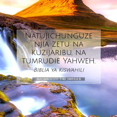 Picture 07 - Maombolezo 3:40 SWHULB - Natujichunguze njia zetu na kuzijaribu, na - Bible Verse Picture