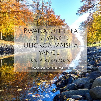 Picture 07 - Maombolezo 3:58 SWHULB - Bwana, ulitetea kesi yangu, uliokoa maisha - Bible Verse Picture