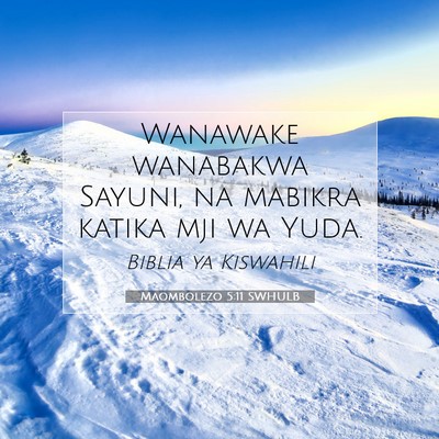 Picture 07 - Maombolezo 5:11 SWHULB - Wanawake wanabakwa Sayuni, na mabikra katika mji - Bible Verse Picture