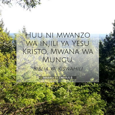 Picture 07 - Marko 1:1 SWHULB - Huu ni mwanzo wa injili ya Yesu Kristo, Mwana wa - Bible Verse Picture