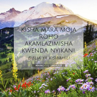 Picture 07 - Marko 1:12 SWHULB - Kisha mara moja Roho akamlazimisha kwenda - Bible Verse Picture