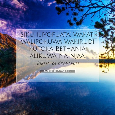 Picture 07 - Marko 11:12 SWHULB - Siku iliyofuata, wakati walipokuwa wakirudi - Bible Verse Picture