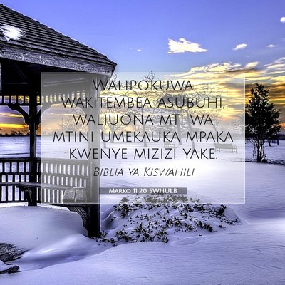 Picture 07 - Marko 11:20 SWHULB - Walipokuwa wakitembea asubuhi, waliuona mti wa - Bible Verse Picture