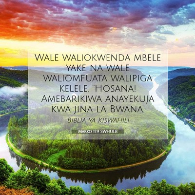 Picture 07 - Marko 11:9 SWHULB - Wale waliokwenda mbele yake na wale waliomfuata - Bible Verse Picture