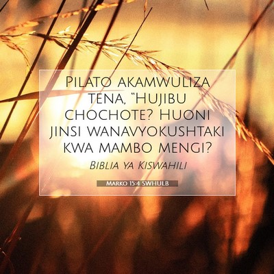 Picture 07 - Marko 15:4 SWHULB - Pilato akamwuliza tena, “Hujibu chochote? Huoni - Bible Verse Picture