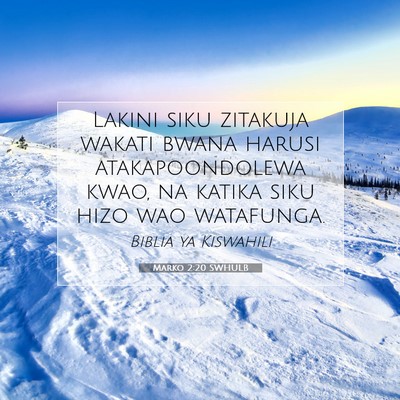 Picture 07 - Marko 2:20 SWHULB - Lakini siku zitakuja wakati bwana harusi - Bible Verse Picture