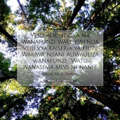 Picture 07 - Marko 8:27 SWHULB - Yesu aliondoka na wanafunzi wake kwenda vijiji - Bible Verse Picture
