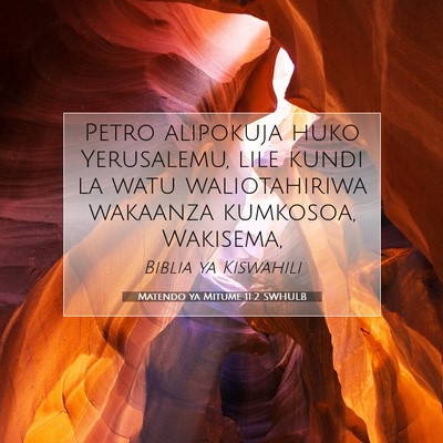 Picture 07 - Matendo ya Mitume 11:2 SWHULB - Petro alipokuja huko Yerusalemu, lile kundi la - Bible Verse Picture