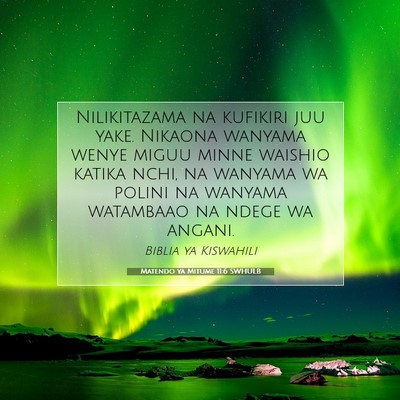Picture 07 - Matendo ya Mitume 11:6 SWHULB - Nilikitazama na kufikiri juu yake. Nikaona - Bible Verse Picture