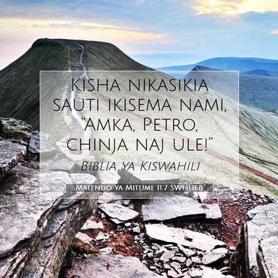 Picture 07 - Matendo ya Mitume 11:7 SWHULB - Kisha nikasikia sauti ikisema nami, “Amka, - Bible Verse Picture