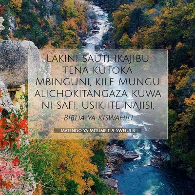 Picture 07 - Matendo ya Mitume 11:9 SWHULB - Lakini sauti ikajibu tena kutoka Mbinguni, kile - Bible Verse Picture