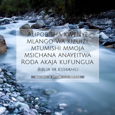Picture 07 - Matendo ya Mitume 12:13 SWHULB - Alipobisha kwenye mlango wa kizuizi, mtumishi - Bible Verse Picture