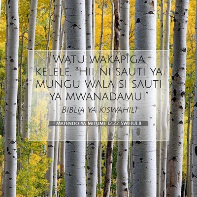 Picture 07 - Matendo ya Mitume 12:22 SWHULB - Watu wakapiga kelele, “Hii ni sauti ya mungu - Bible Verse Picture