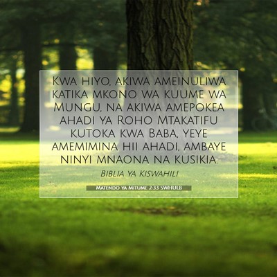 Picture 07 - Matendo ya Mitume 2:33 SWHULB - Kwa hiyo, akiwa ameinuliwa katika mkono wa kuume - Bible Verse Picture