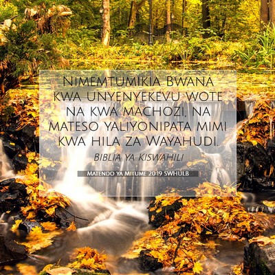 Picture 07 - Matendo ya Mitume 20:19 SWHULB - Nimemtumikia Bwana kwa unyenyekevu wote na kwa - Bible Verse Picture