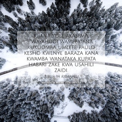 Picture 07 - Matendo ya Mitume 23:20 SWHULB - Kijana yule akasema, “Wayahudi wamepatana - Bible Verse Picture