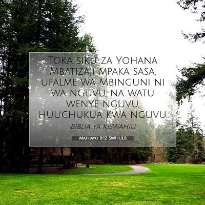 Picture 07 - Mathayo 11:12 SWHULB - Toka siku za Yohana Mbatizaji mpaka sasa, ufalme - Bible Verse Picture