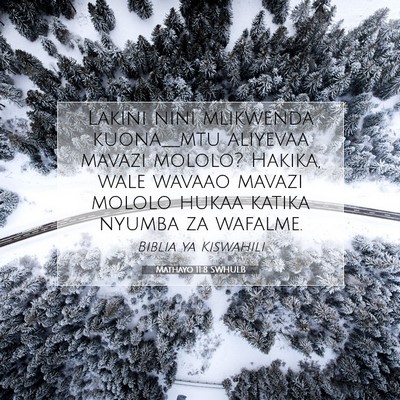 Picture 07 - Mathayo 11:8 SWHULB - Lakini nini mlikwenda kuona__mtu aliyevaa mavazi - Bible Verse Picture