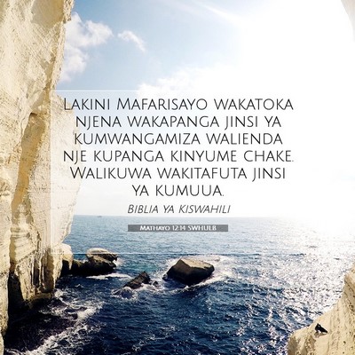Picture 07 - Mathayo 12:14 SWHULB - Lakini Mafarisayo wakatoka njena wakapanga jinsi - Bible Verse Picture