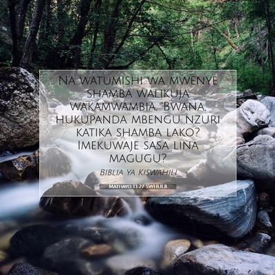 Picture 07 - Mathayo 13:27 SWHULB - Na watumishi wa mwenye shamba walikuja - Bible Verse Picture