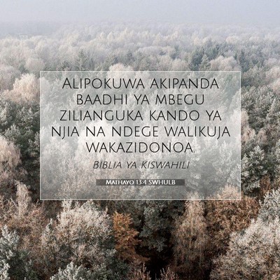 Picture 07 - Mathayo 13:4 SWHULB - Alipokuwa akipanda baadhi ya mbegu zilianguka - Bible Verse Picture