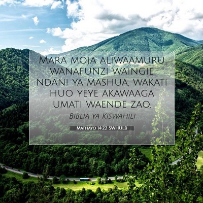 Picture 07 - Mathayo 14:22 SWHULB - Mara moja aliwaamuru wanafunzi waingie ndani ya - Bible Verse Picture