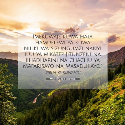 Picture 07 - Mathayo 16:11 SWHULB - Imekuwaje kuwa hata hamuelewi ya kuwa nilikuwa - Bible Verse Picture