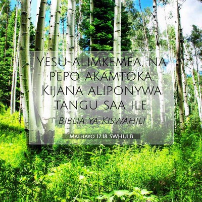 Picture 07 - Mathayo 17:18 SWHULB - Yesu alimkemea, na pepo akamtoka. Kijana - Bible Verse Picture
